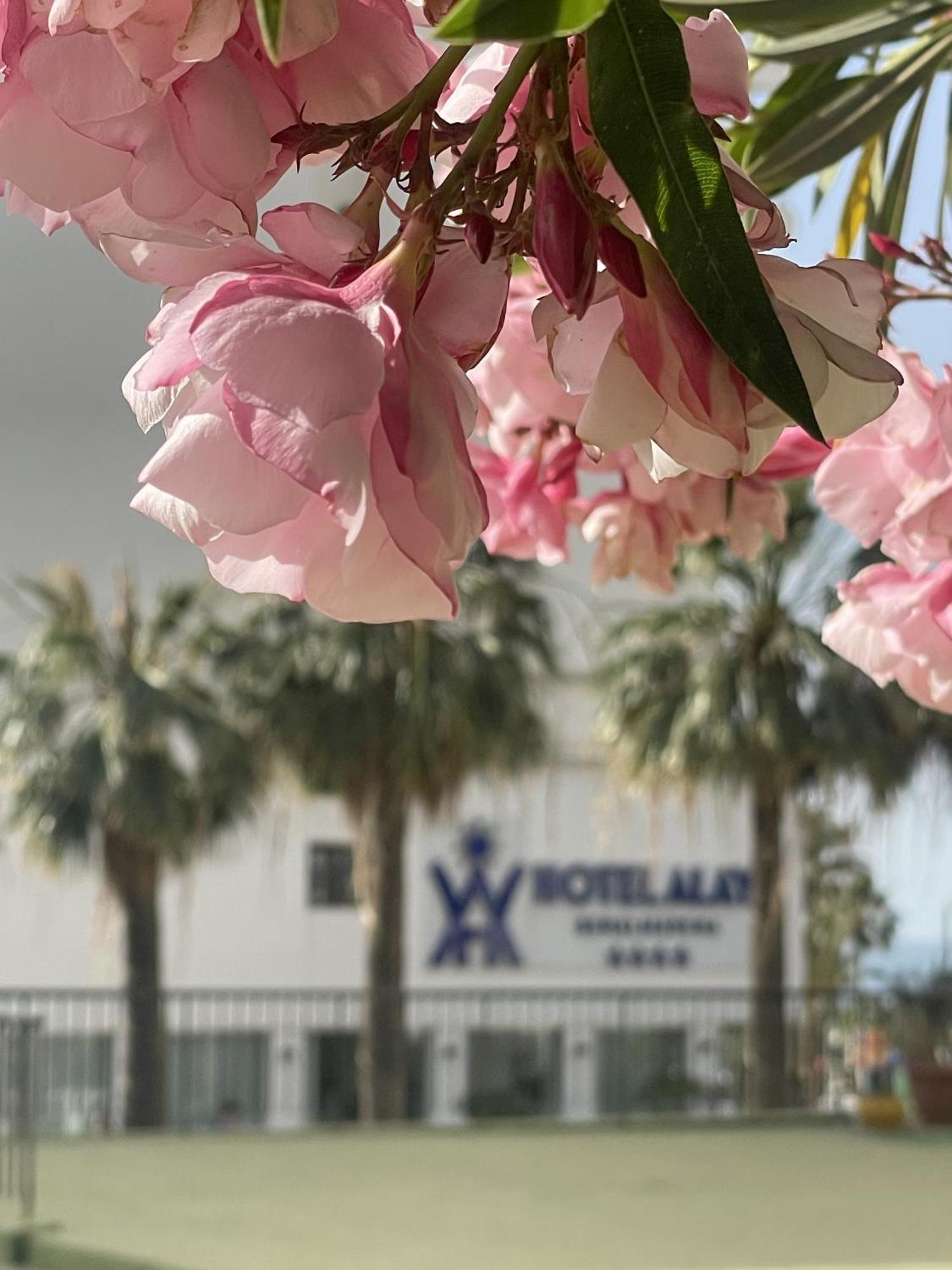 Apartament Alay Benalmádena Zewnętrze zdjęcie